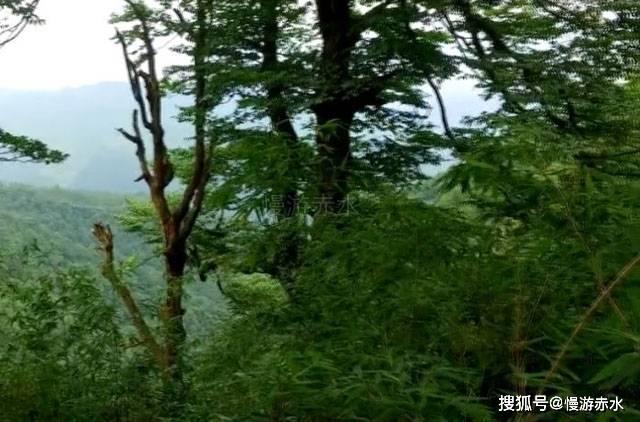 可爱女孩好有钱