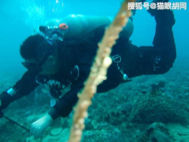 逃离石墙屋
